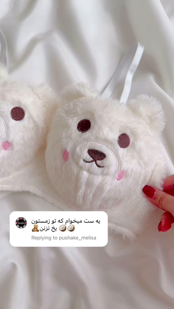 Adorable Fuzzy Bear Lingerie Set - Image 2