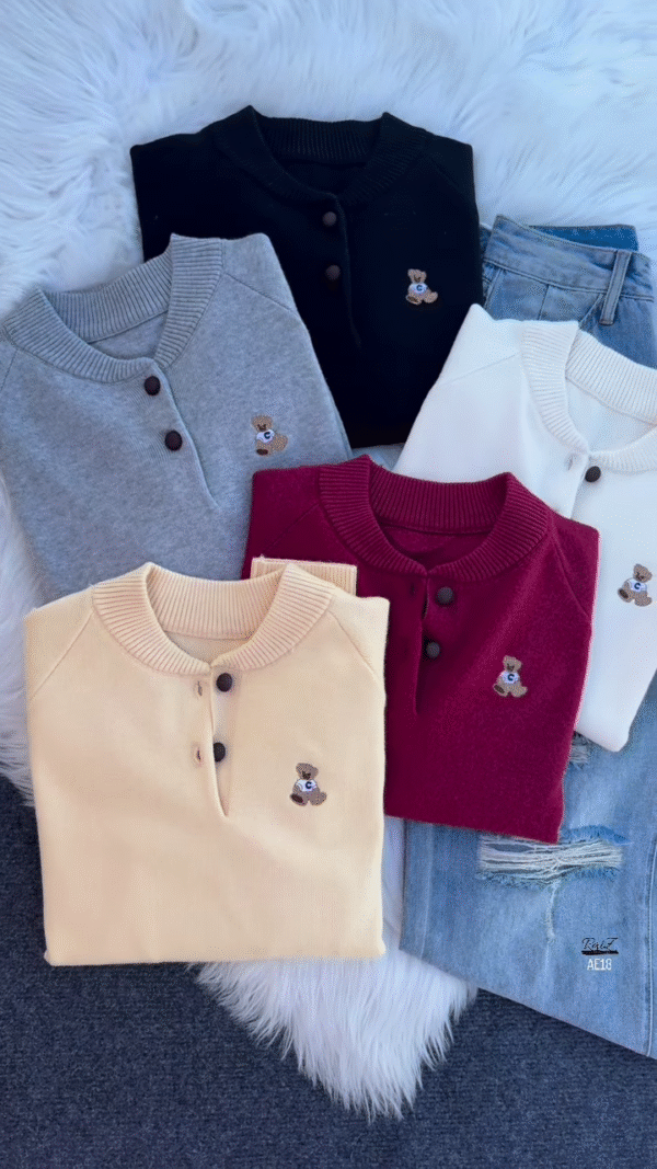 "Cuddly Charm: Multicolor Teddy Bear Embroidered Sweaters" - Image 2